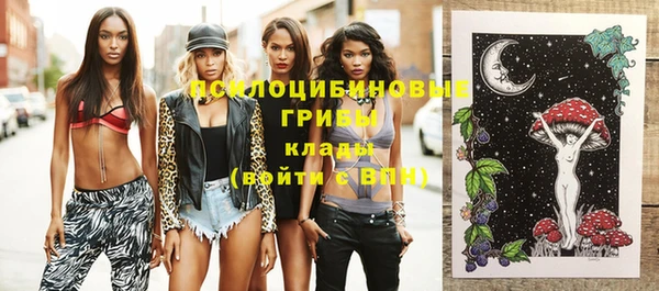 2c-b Михайлов