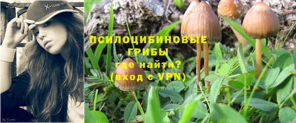 MDMA Premium VHQ Билибино