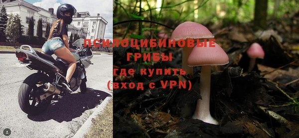 2c-b Михайлов