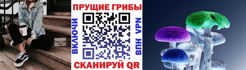 Псилоцибиновые грибы прущие грибы  Нарьян-Мар 
