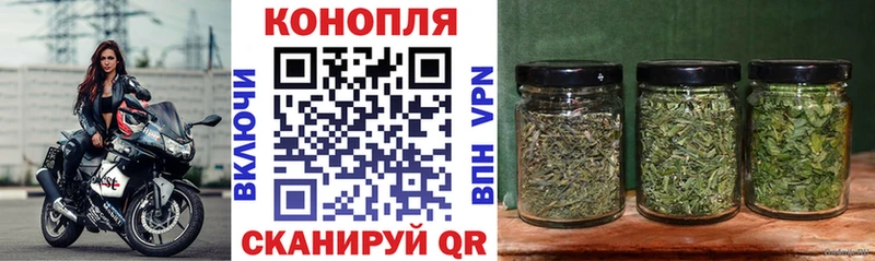 Шишки марихуана OG Kush купить наркоту Нарьян-Мар